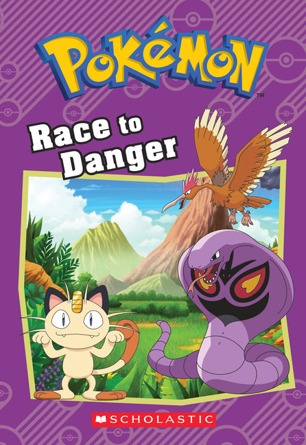 Race to Danger (Pokémon: Chapter Book): Volume 13
