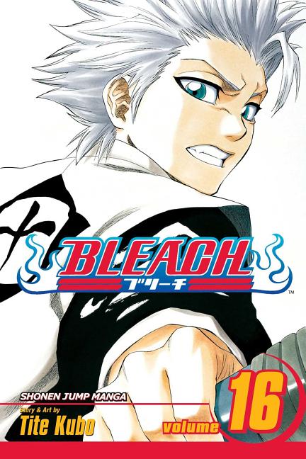 Bleach, Vol. 16: Knight of Wijnruit
