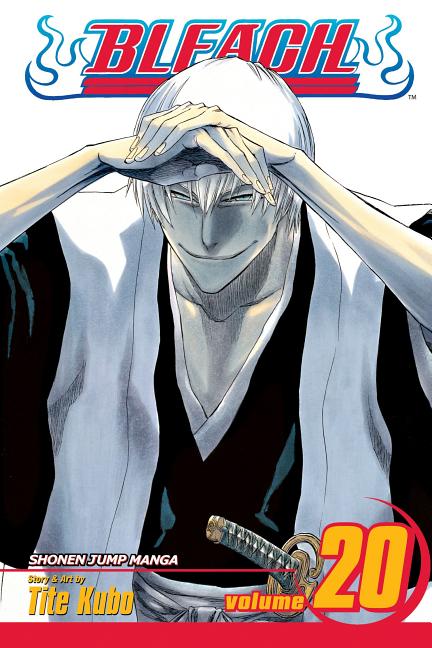 Bleach, Vol. 20: End of Hypnosis