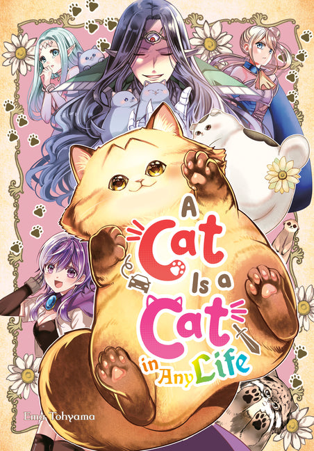Cat Is a Cat in Any Life