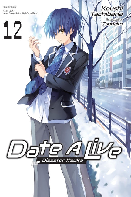 Date a Live, Vol. 12 (Light Novel): Disaster Itsuka