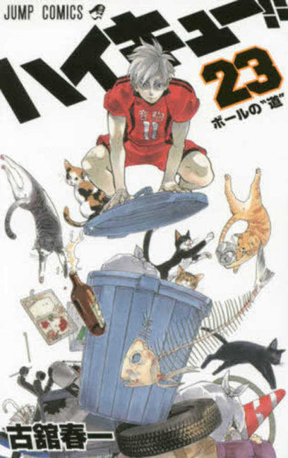 Haikyu!! 23