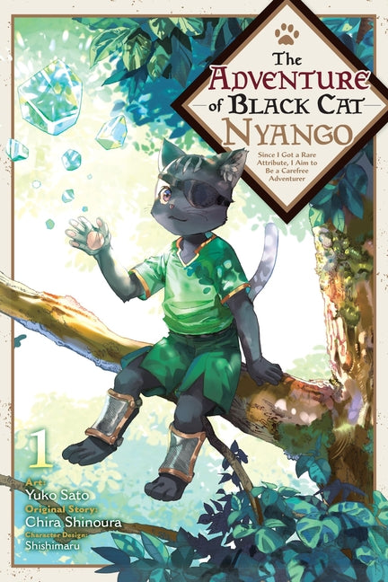 Adventure of Black Cat Nyango, Vol. 1: Since I Got